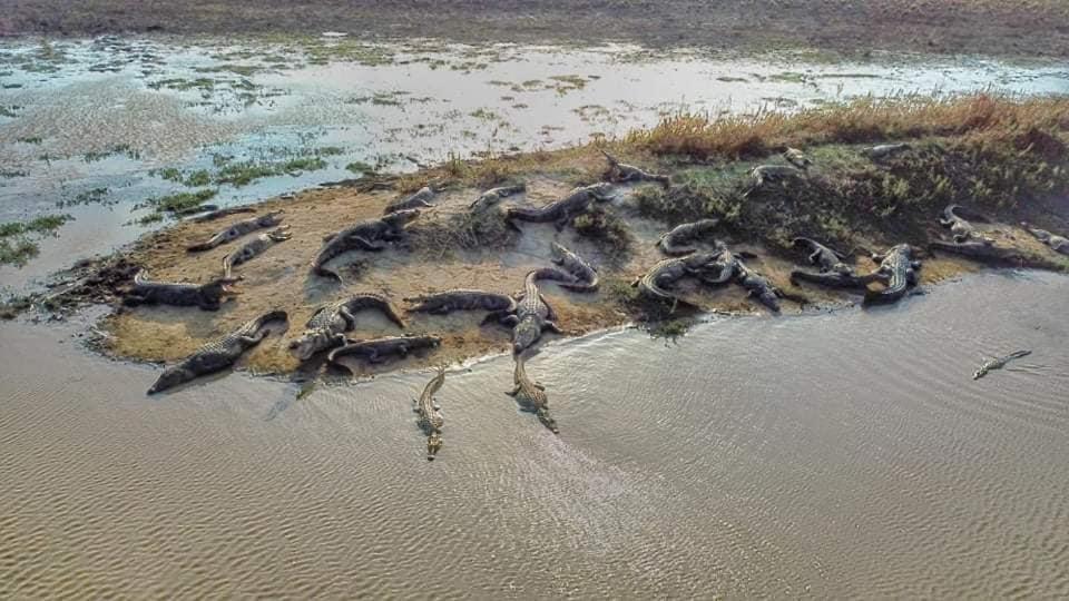 Crocodile Park Bungalow كاتاراغاما المظهر الخارجي الصورة