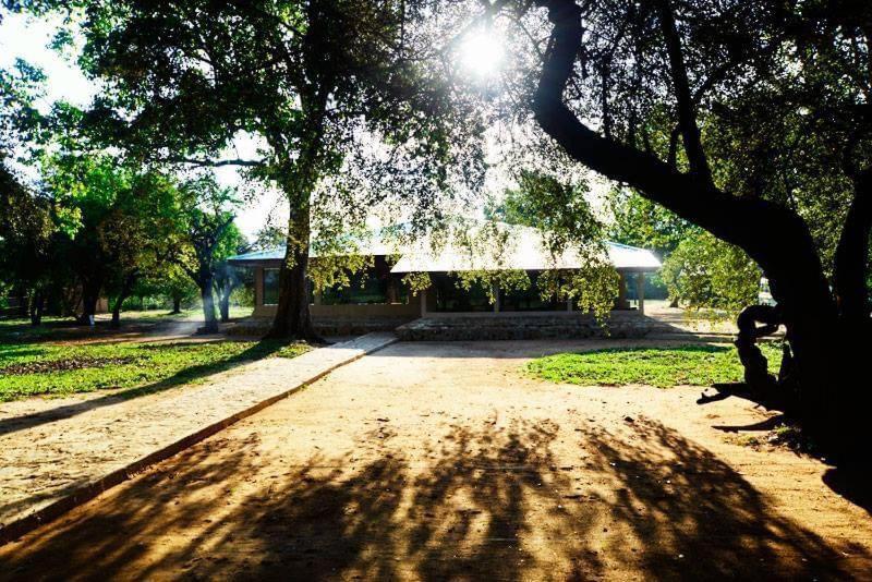 Crocodile Park Bungalow كاتاراغاما المظهر الخارجي الصورة