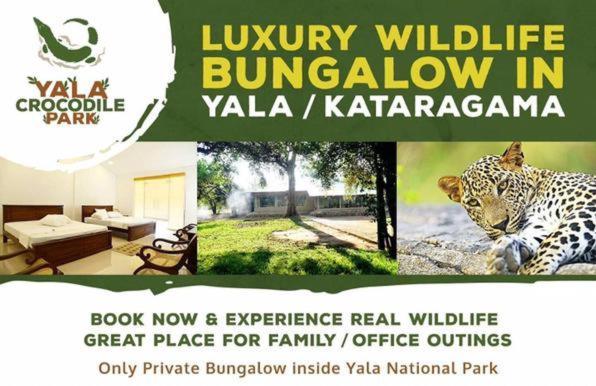 Crocodile Park Bungalow كاتاراغاما المظهر الخارجي الصورة