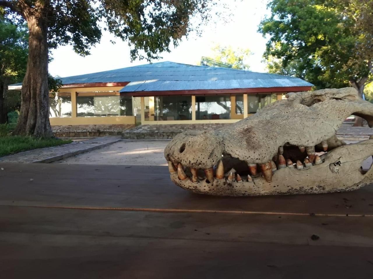 Crocodile Park Bungalow كاتاراغاما المظهر الخارجي الصورة